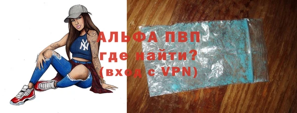 эйфоретик Гусь-Хрустальный