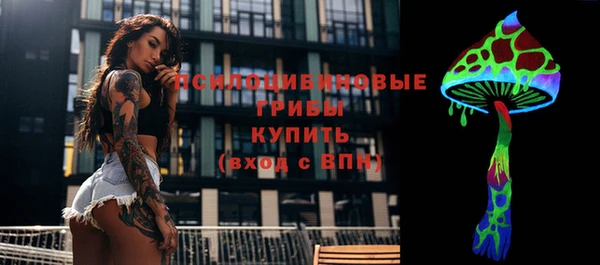 2c-b Горно-Алтайск