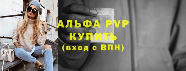эйфоретик Гусь-Хрустальный