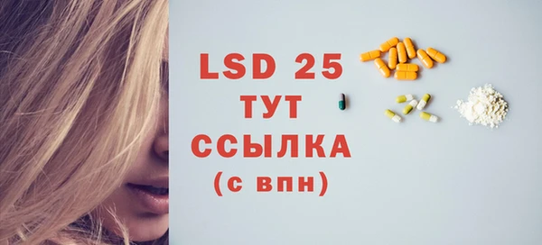 эйфоретик Гусь-Хрустальный