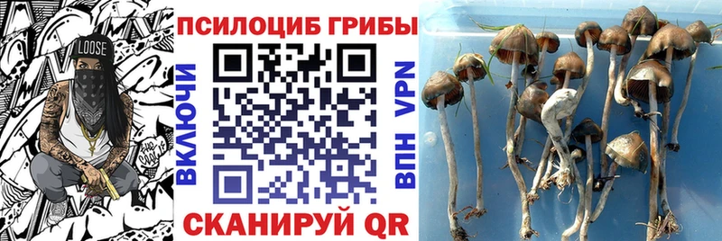 Псилоцибиновые грибы Magic Shrooms Джанкой